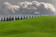 Paesaggio-Pisano