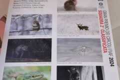 IMG-20240518-WA0008