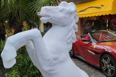 Cavallino