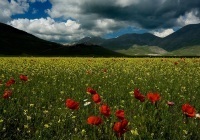 thumbs_104_01