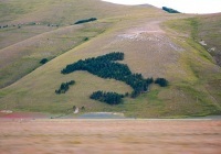thumbs_DSC5284A