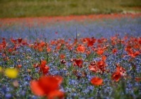 thumbs_DSC5522