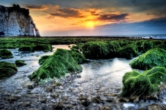 Generali-Enrico_Green-Carpet-and-silk-sea