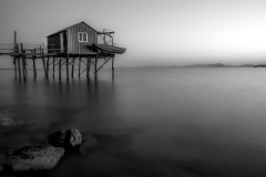 Bani-Marco_Perelli