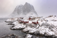 Bani-Marco-Winter