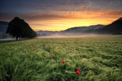 Marrucci-Michele-Heroes_s-Sunrise