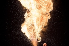 Menciassi-Patrizia-Fire-breathing