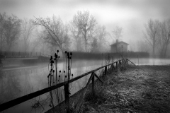 Becorpi-Fabio-041802-Swamp-BNX07-2020-BN4