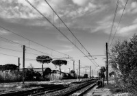 thumbs_3456