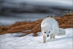 image3031