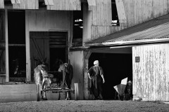 1123-A-02-042269-Amish-2023