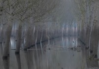 thumbs_1123-A-15-58091-Serenity-2022
