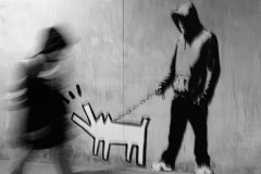 1123-B-07-048912-Banksy_s-Dog-2023