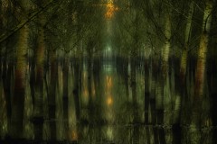 1123-B-09-055742-Fantasy-2023