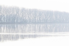 Giuseppe-Tizzanini_Alba-sul-Padule-2020