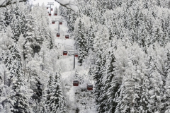 1123-B-11-61478-Cabine-rosse-2026