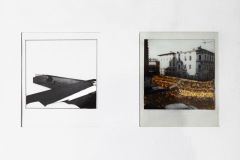 terra_mia_04