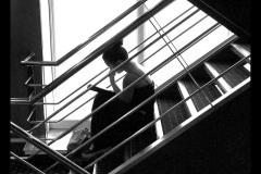 LETTURA-FRA-LE-LINEE