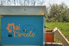 piccoli_apicoltori_crescono_15