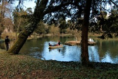 MG_2223-2