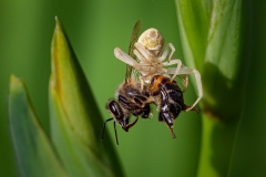 IMG_0862-Modifica-2