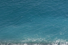 dal-blu