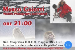 2020.05.22-Ospite-Marco-Gaiotti