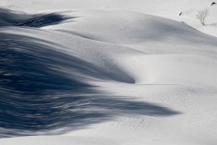 0020_Appennino_2019_010_cpy