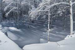 0030_Appennino_2017_027_cpy