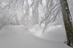 0120_App2011_007_cpy