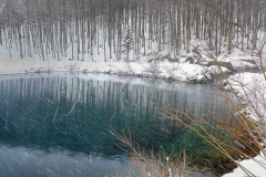 0140_Appennino-2014_003_cpy