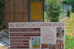 senti_chi_capra-01