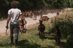 senti_chi_capra-02