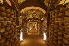 caseificio_busti_09