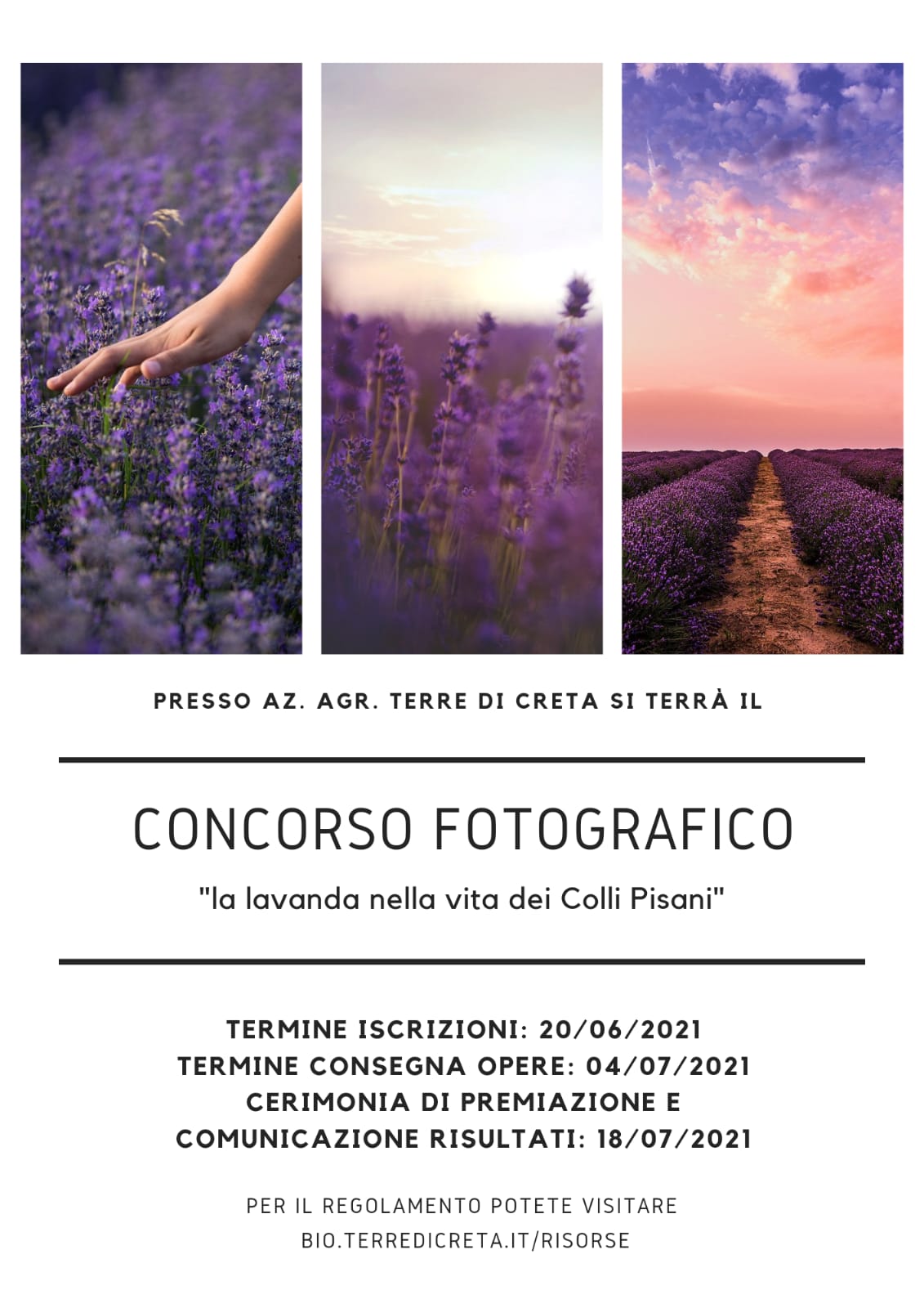 concorso fotografico lavanda